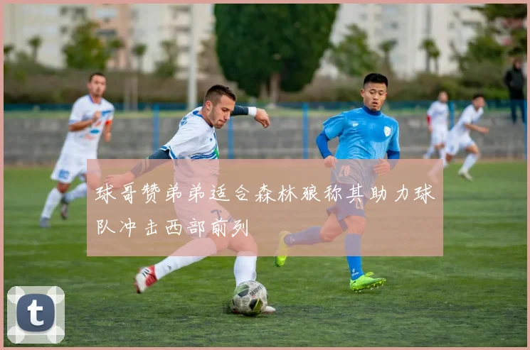 球哥赞弟弟适合森林狼称其助力球队冲击西部前列