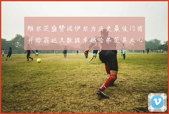 维尔茨盛赞诺伊尔为历史最佳门将并称翁达夫数据卓越哈弗茨具大心脏
